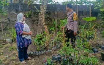 Silaturahmi DDS Dorong Warga Desa Perampuan Manfaatkan Pekarangan