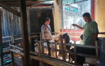 Sosialisasi Ketahanan Pangan: Bhabinkamtibmas Polsek Batulayar Berikan Edukasi pada Warga Batulayar Barat