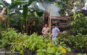 Polsek Kuripan Dampingi Warga Kuripan Utara Sukseskan Program Ketahanan Pangan