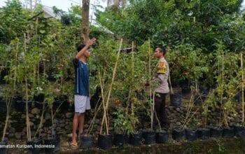 Kunjungan Bhabinkamtibmas: Edukasi Pemuda tentang Ketahanan Pangan Pekarangan