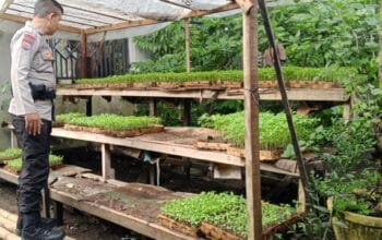 Ketahanan Pangan Nasional, Polsek Labuapi Turun Langsung ke Masyarakat