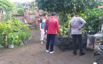 Program Ketahanan Pangan Digencarkan di Desa Jagaraga