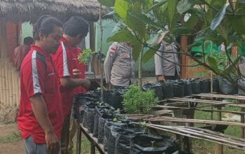 Kolaborasi Polri dan Pertanian dalam Program Pekarangan Bergizi untuk Ketahanan Pangan