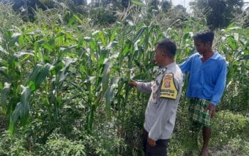 Bhabinkamtibmas Dorong Swasembada Pangan di Desa Montong Are