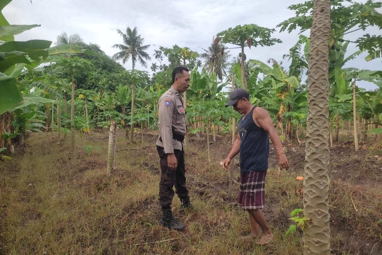 Bhabinkamtibmas Labuapi Gandeng Petani Tingkatkan Ketahanan Pangan dan Jaga Kamtibmas