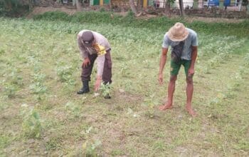 Ketahanan Pangan Lokal, Inisiatif Bhabinkamtibmas di Lombok Barat