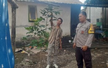 Kuripan Selatan Gerakkan Pekarangan Mandiri untuk Ketahanan Pangan