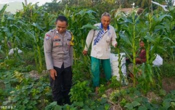 Motivasi Petani Kuripan, Polri Dorong Ketahanan Pangan dari Tingkat Desa