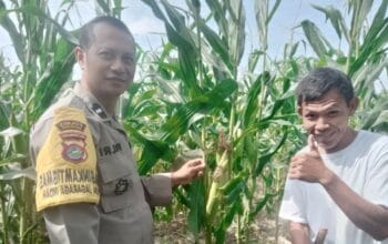 Pendampingan Petani oleh Bhabinkamtibmas di Desa Jagaraga Indah