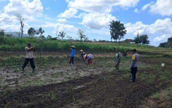 Peran Polri Dalam Swasembada Pangan di Sekotong, NTB