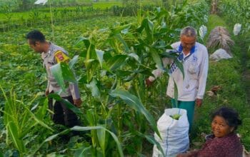 Petani Kuripan Utara Terapkan Inovasi Pertanian Didukung Polri