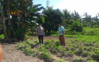 Polri Dukung Ketahanan Pangan Nasional Bhabinkamtibmas Jagaraga Ajak Petani Manfaatkan Lahan Produktif