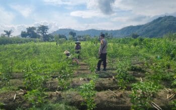 Sinergi Polisi dan Petani Dorong Ketahanan Pangan di Jembatan Kembar Timur