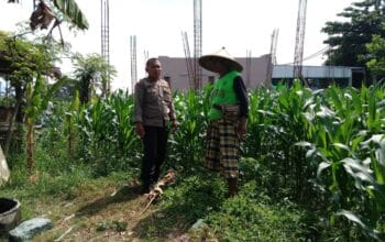 Dukung Ketahanan Pangan, Polisi Ajak Petani Manfaatkan Lahan Kosong