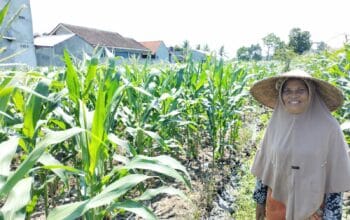 Bhabinkamtibmas Labuapi Ajak Warga Optimalkan Lahan Pekarangan untuk Ketahanan Pangan