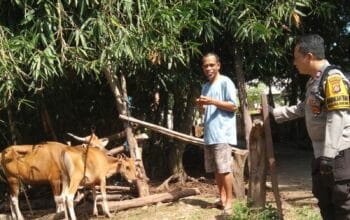 Ketahanan Pangan Berbasis Komunitas di Dusun Melase
