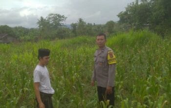 Ketahanan Pangan dan Keamanan Diperkuat di Sekotong Tengah Lewat DDS Bhabinkamtibmas