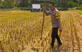 Kunjungan Bhabinkamtibmas Kuripan Utara, Ajak Petani Dukung Ketahanan Pangan Nasional