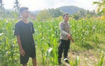 Polisi Desa Cendi Manik Dorong Ketahanan Pangan Lewat Pendampingan Petani Sekotong