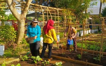 Kunjungan Polri ke BPP Kuripan Jadi Contoh Kolaborasi Ketahanan Pangan Desa