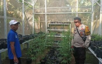 Sinergi Polsek Batulayar dan Warga untuk Pangan Mandiri