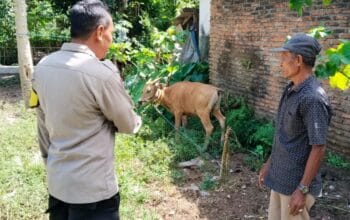 Sinergi Polri dan Warga Lembar Selatan Wujudkan Kemandirian Pangan Keluarga