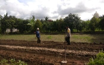 Bhabinkamtibmas Kediri Dorong Ketahanan Pangan di Plowok Selatan