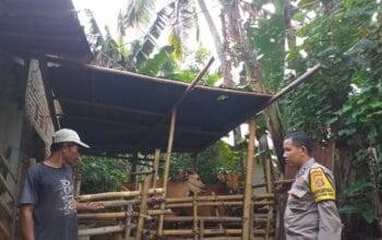 Polsek Kuripan Perkuat Ketahanan Pangan Lewat Edukasi Warga Dusun Batu Banteng