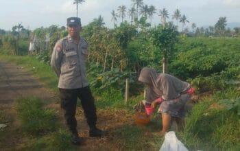 Bhabinkamtibmas Dorong Ketahanan Pangan di Montong Are, Lombok Barat