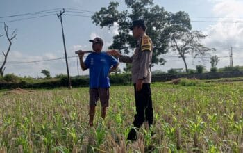 Pekarangan Jadi Lumbung Keluarga: Polri dan Warga Desa Kuripan Wujudkan Pangan Tangguh