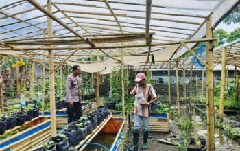 Bhabinkamtibmas Ajak Warga Dusun Tempit Tanam Sayur di Pekarangan Rumah