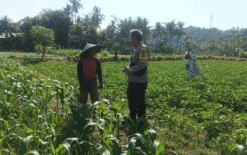 Bhabinkamtibmas Sandik Ajak Warga Dusun Tato Barat Wujudkan Swasembada Pangan