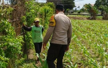 Bhabinkamtibmas di Labuapi dan Warga Bersinergi Jaga Ketahanan Pangan Nasional