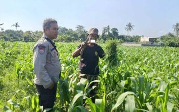Polsek Batulayar Ajak Masyarakat Perempung Maksimalkan Lahan untuk Ketahanan Pangan