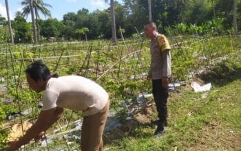 Polsek Sekotong Ajak Petani Berdayakan Lahan Produktif di Dusun Berambang