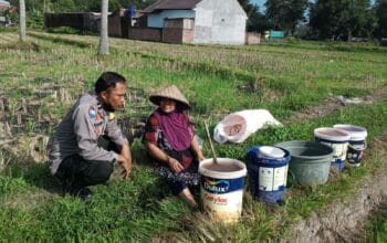 Sinergi Polri dan Petani Kuripan Wujudkan Ketahanan Pangan Berbasis Desa