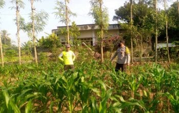 Kolaborasi Polisi dan Petani di Jagaraga untuk Wujudkan Lumbung Pangan Lokal