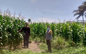 Polsek Kuripan Dorong Ketahanan Pangan Desa Jagaraga Lombok Barat