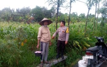 Polri dan Petani di Jagaraga Bersinergi Tingkatkan Ketahanan Pangan Lokal