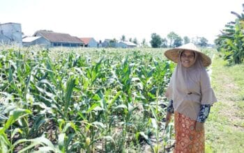 Sinergi Polri dan Petani di Desa Labuapi untuk Perkuat Ketahanan Pangan Nasional