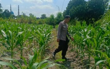 Bhabinkamtibmas Perampuan Ajak Warga Manfaatkan Lahan Kosong Jadi Pekarangan Bergizi