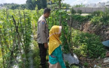 Ketahanan Pangan Diperkuat, Bhabinkamtibmas Desa Labuapi Ajak Warga Produktif
