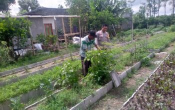 Dukungan Polri Bagi Petani Dusun Tegal: Langkah Nyata Kemandirian Pangan Jagaraga