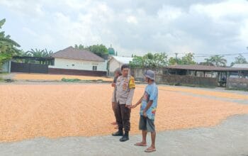 Sinergi Polri dan Pengusaha Lokal Jaga Pasokan Jagung di Lombok Barat