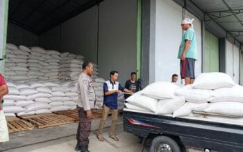 Bulog Mataram Serap 3,4 Ton Jagung Petani Gerung dengan Pengawalan Polisi