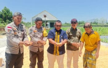 Jagung Desa Beleka dengan Kadar Air 10,3 KA Siap Serap Bulog NTB