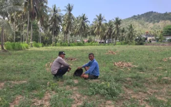 Bhabinkamtibmas Pelangan Gerakkan Warga Tanam Jagung untuk Ketahanan Pangan