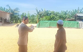 Sinergi Polisi dan Petani Jaga Pasokan Jagung di Lombok Barat
