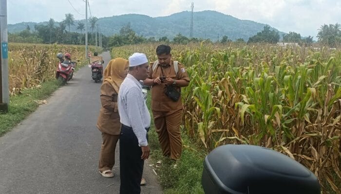 Panen Jagung di Babussalam, Polri Jadi Sahabat Petani Lombok Barat